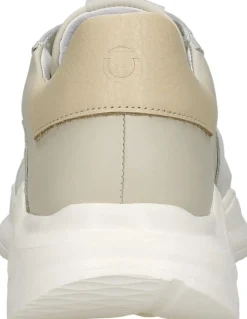 Tozen Arata Beige Hot