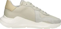 Tozen Arata Beige Hot