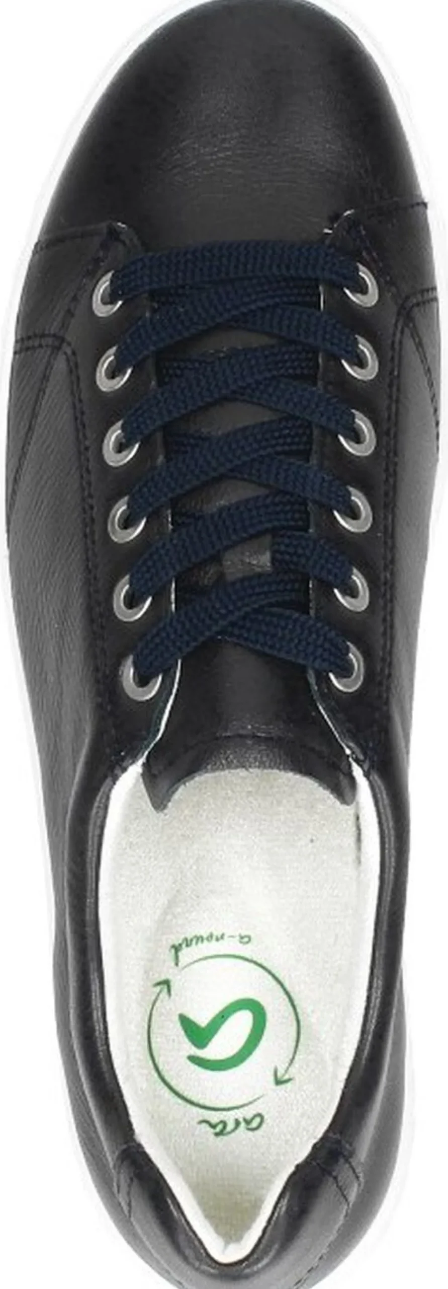 Ara Avio Blauw Hot