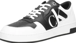 Calvin Klein Basket Cupsole Bold mono LTH Zwart Hot