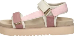 Maruti Beau Roze Online