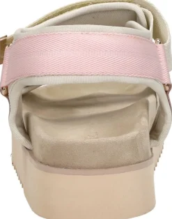Maruti Beau Roze Online
