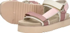 Maruti Beau Roze Online