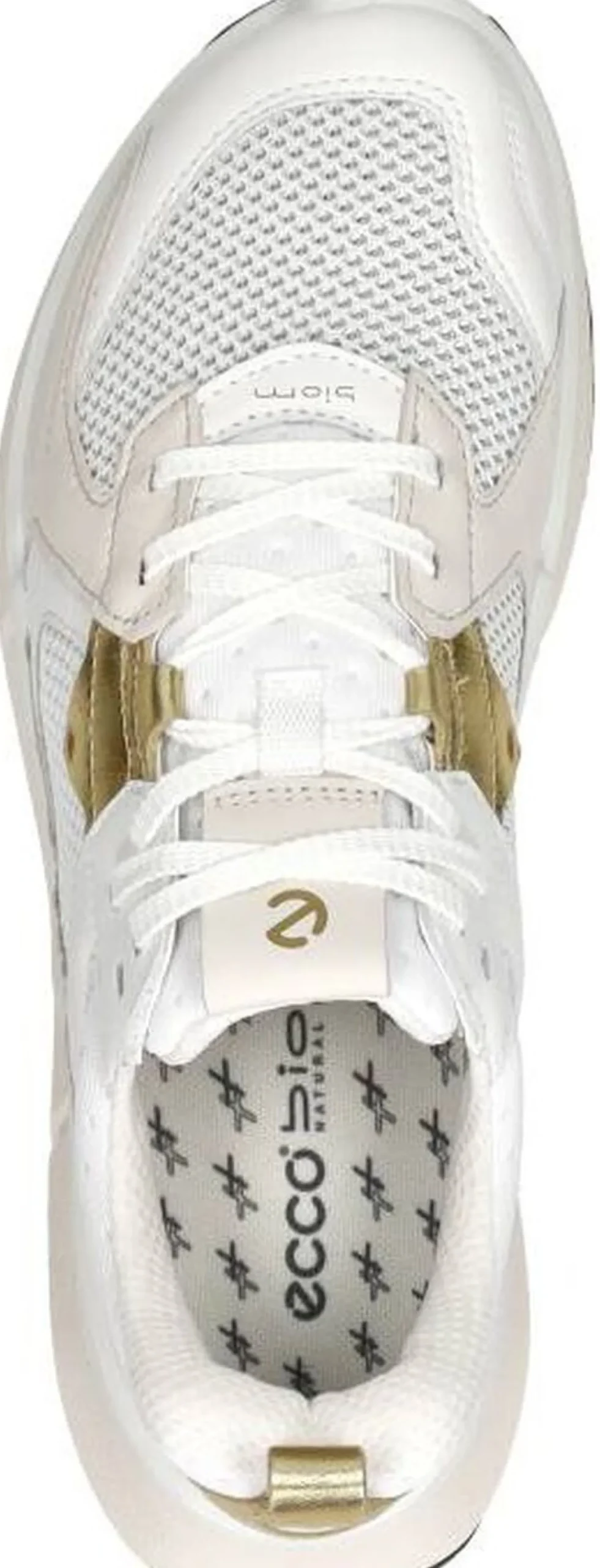 Ecco Biom Wit Online