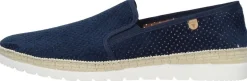 Verbenas Boris Blauw Best