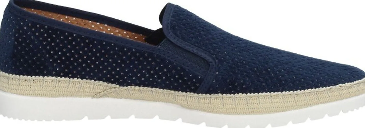 Verbenas Boris Blauw Best