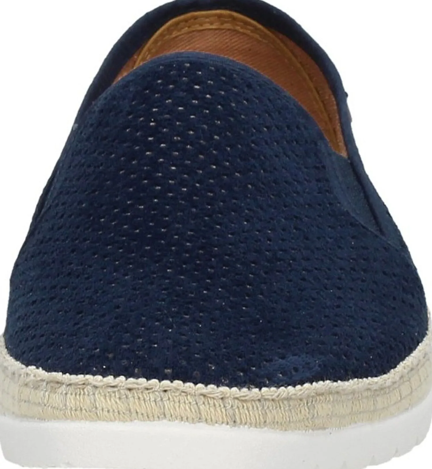 Verbenas Boris Blauw Best