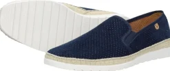 Verbenas Boris Blauw Best