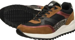 Maruti Boyd Cognac Online