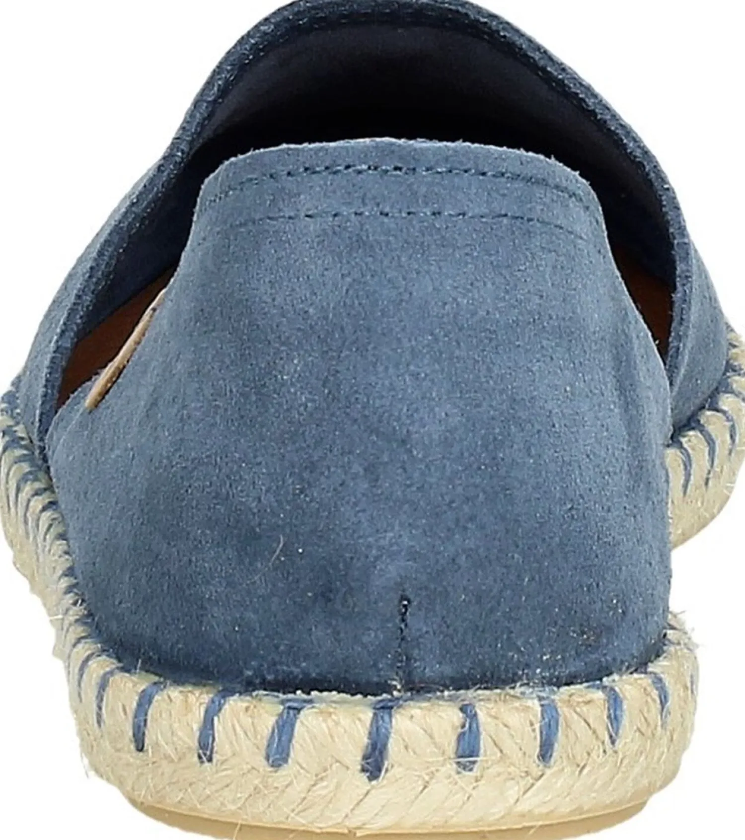 Verbenas Carmen Licht blauw Hot