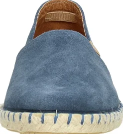 Verbenas Carmen Licht blauw Hot