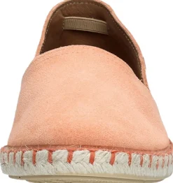 Verbenas Carmen Roze Outlet