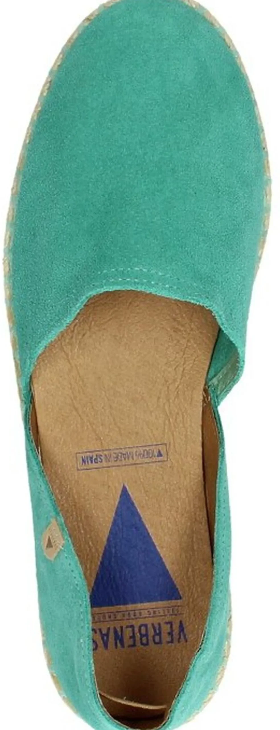 Verbenas Carmen Turquoise Best