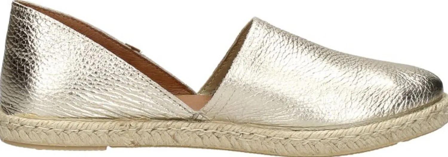 Verbenas Carmen Goudkleur New