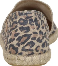 Verbenas Carmen Beige New