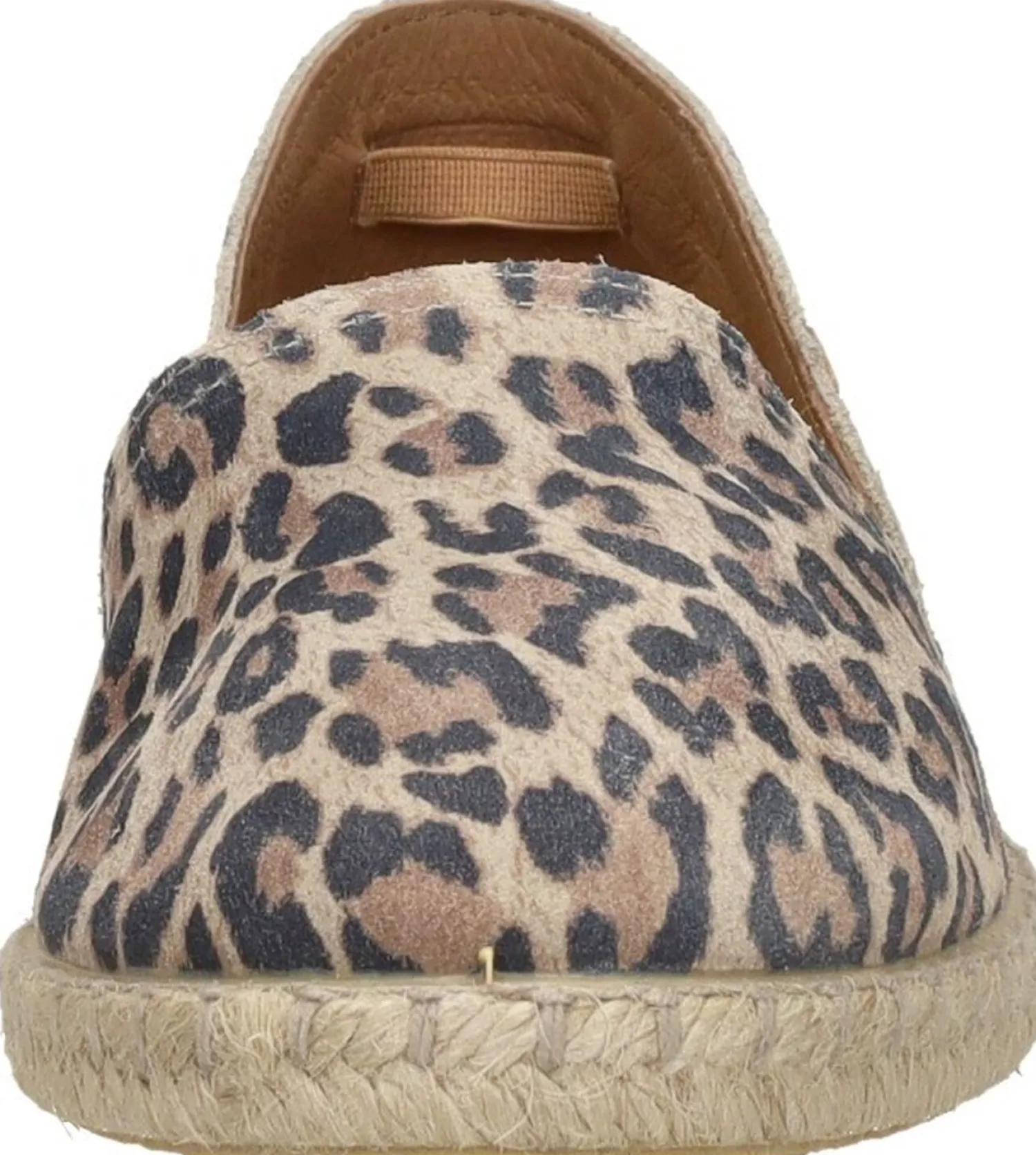 Verbenas Carmen Beige New