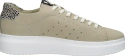Maruti Claire Beige Discount