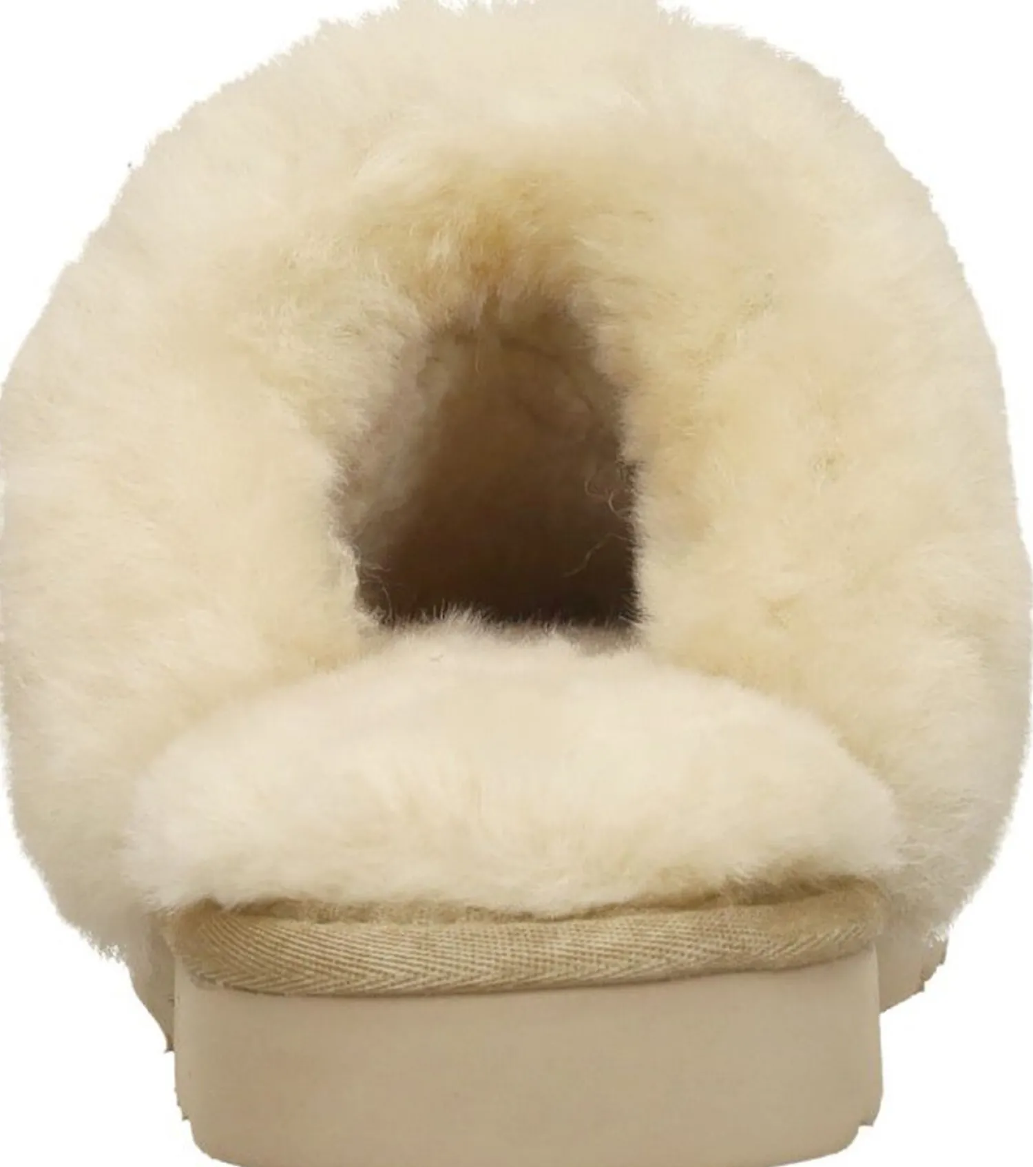 Warmbat Collie Beige Online