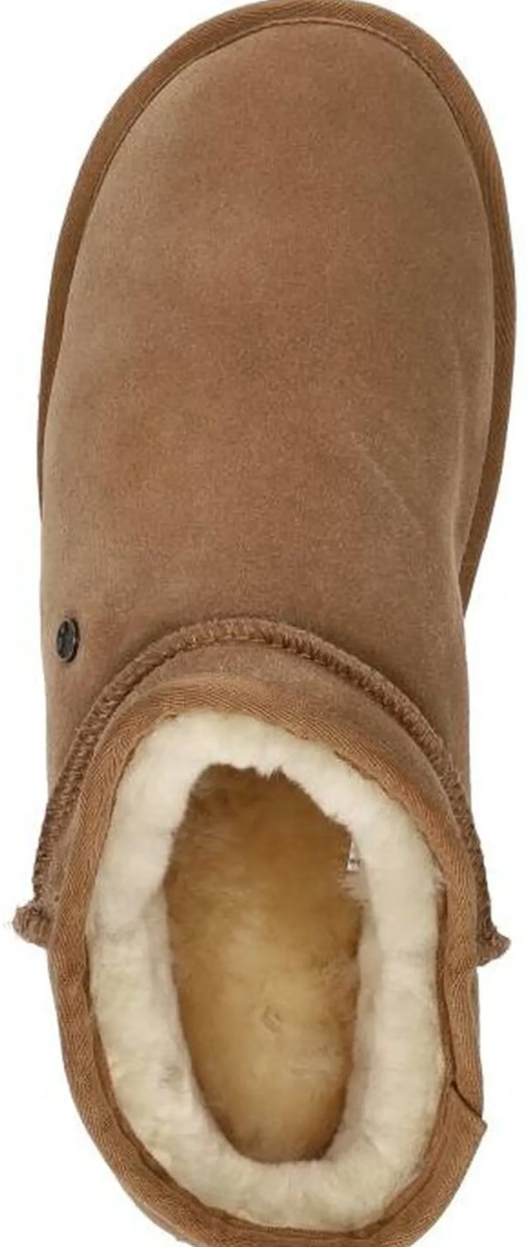 Warmbat Conner Cognac Discount