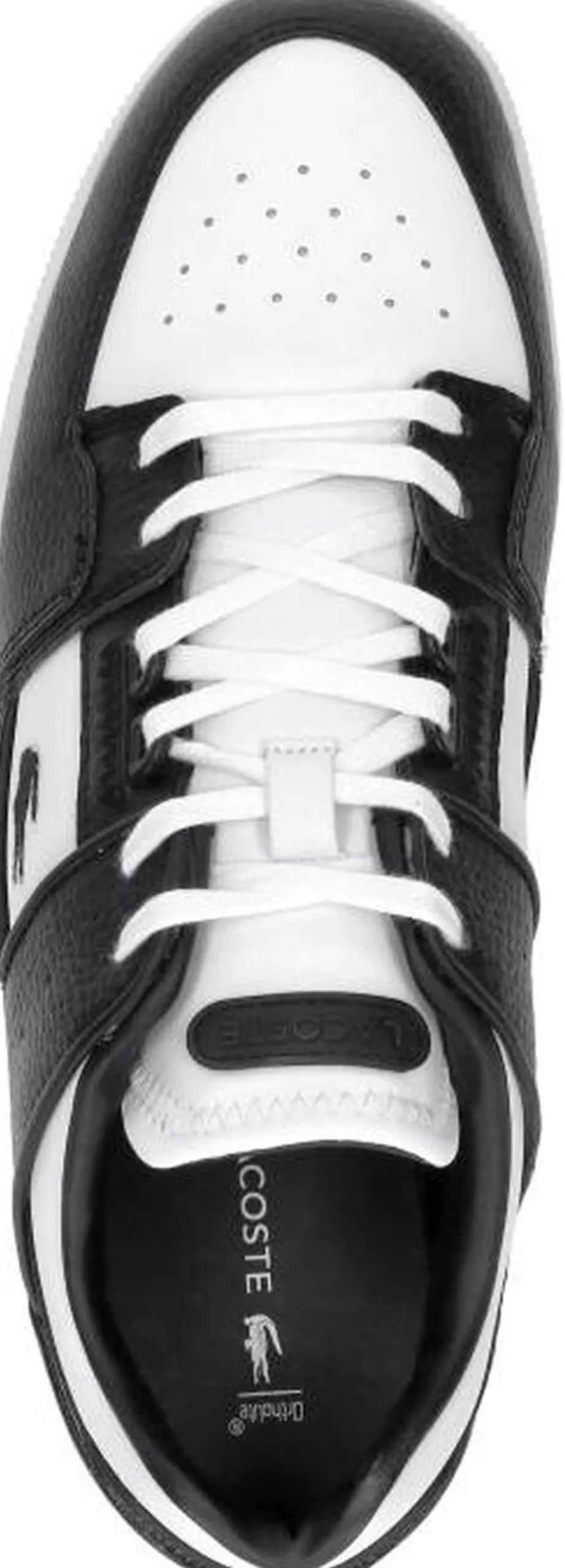 Lacoste Court Cage Zwart Outlet