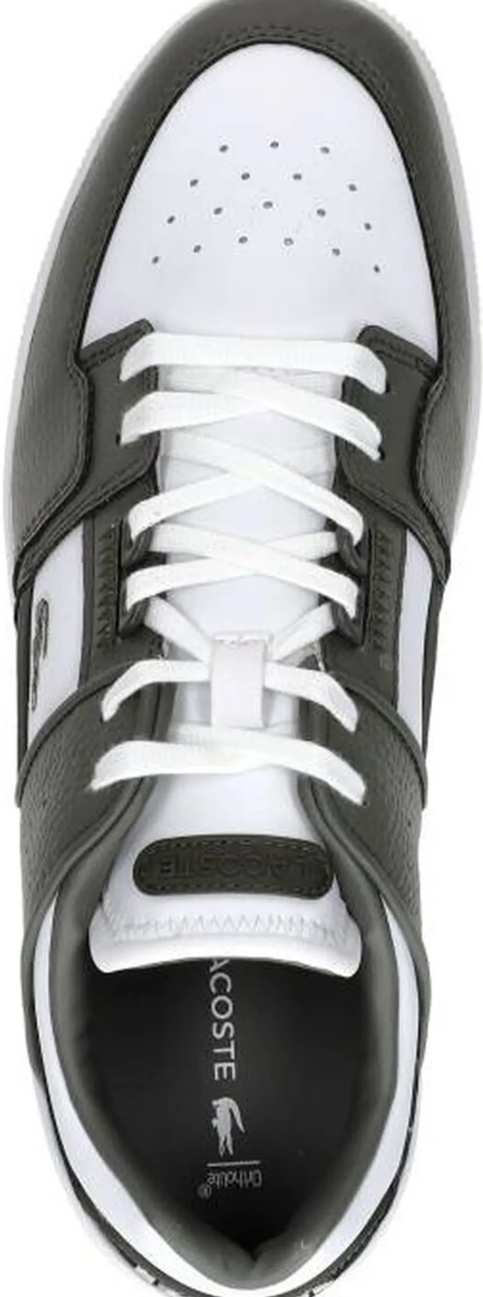 Lacoste Court Cage Groen Clearance