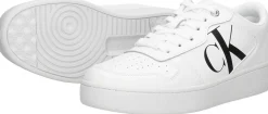 Calvin Klein Cupsole Laceup Basket Low LTH Wit Best