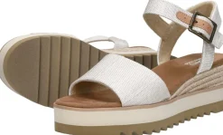 Toms Diana Wit New