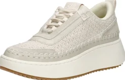 Steve Madden Doubletake Gebroken wit Online