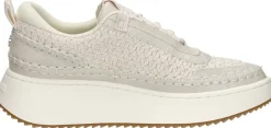 Steve Madden Doubletake Gebroken wit Online