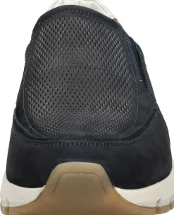 Australian Eagle Blauw Outlet