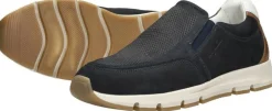 Australian Eagle Blauw Outlet