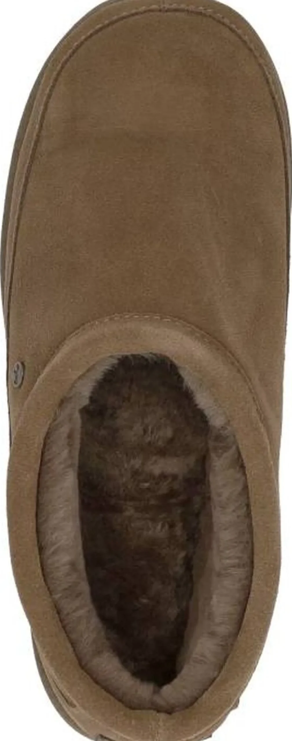 Warmbat Ebor Taupe Discount