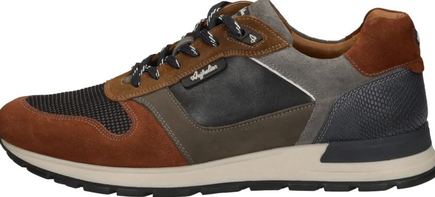 Australian Glastonburry Middelbruin Sale