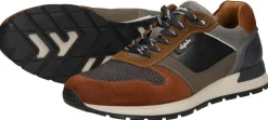 Australian Glastonburry Middelbruin Sale