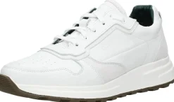 McGregor Gregor 01 Wit Fashion