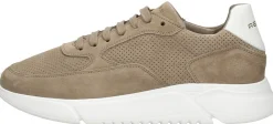 Rehab Hedley Sue Prf Taupe Discount