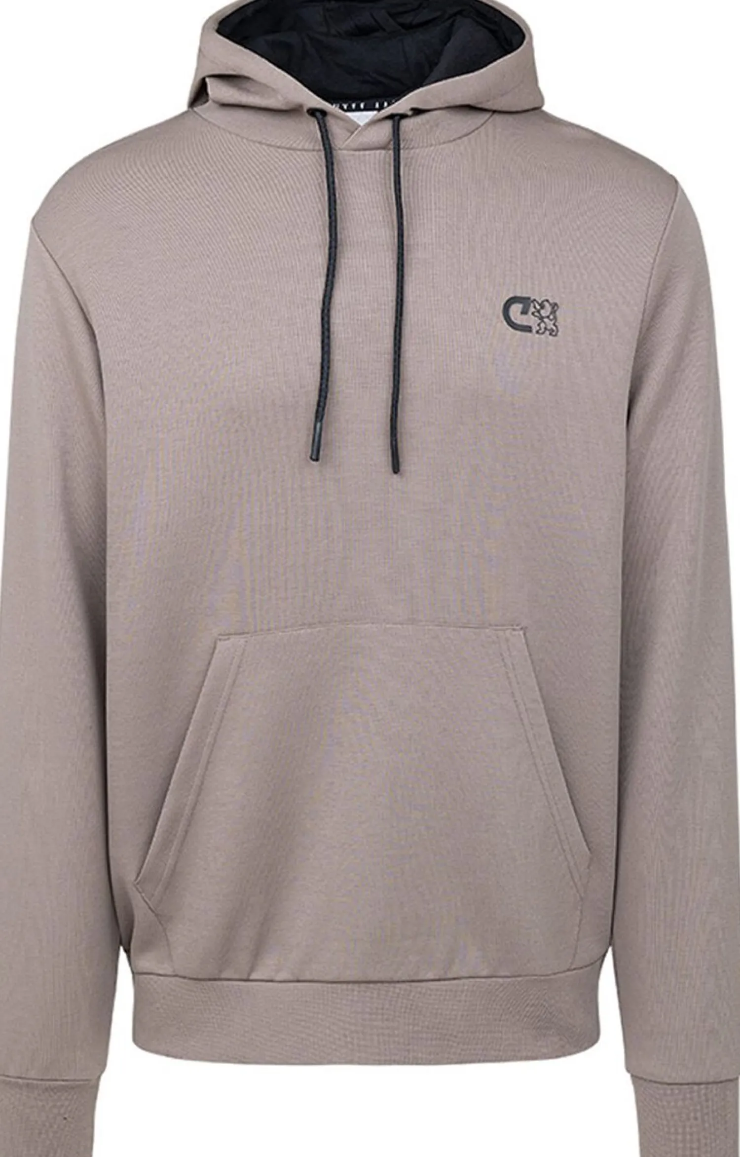 Cruyff Joaquim Hoodie Donkergrijs Online