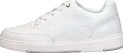 Cycleur De Luxe Jockey Wit Best