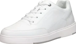 Cycleur De Luxe Jockey Wit Best
