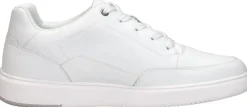 Cycleur De Luxe Jockey Wit Best