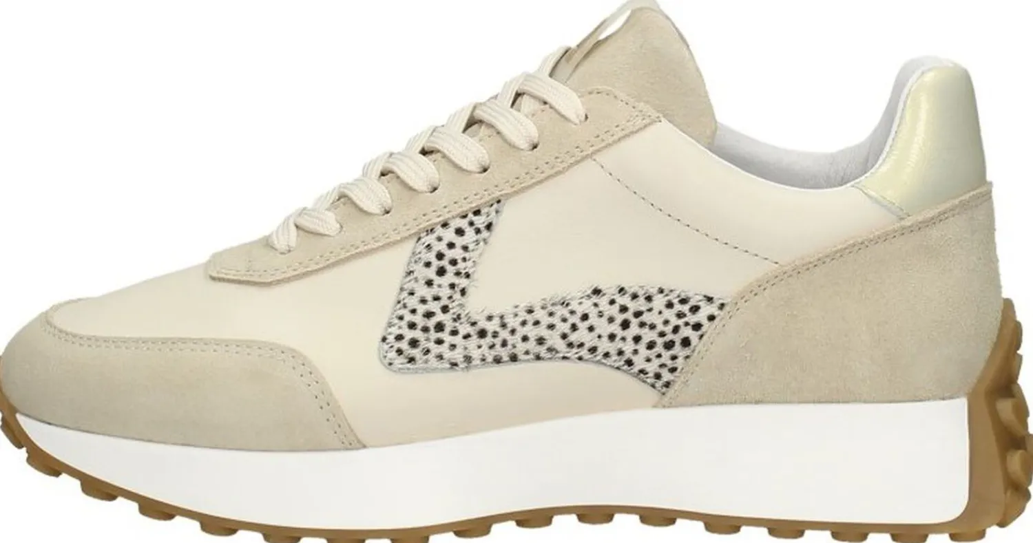 Maruti Kane Beige Online