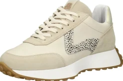 Maruti Kane Beige Online