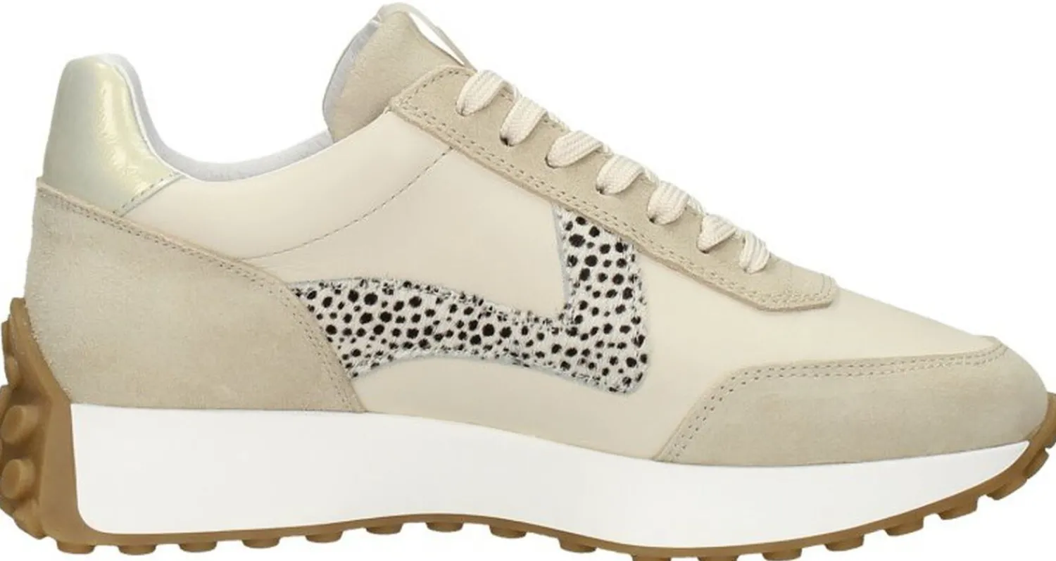 Maruti Kane Beige Online