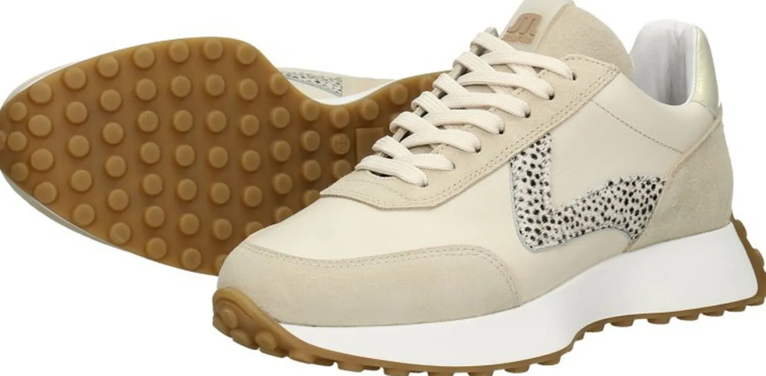 Maruti Kane Beige Online