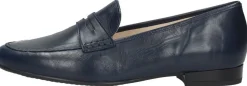 Ara Kent Blauw New