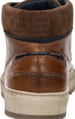 Gaastra Led Mid Oil M Cognac Fashion