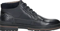 Australian Middelburg Blauw New