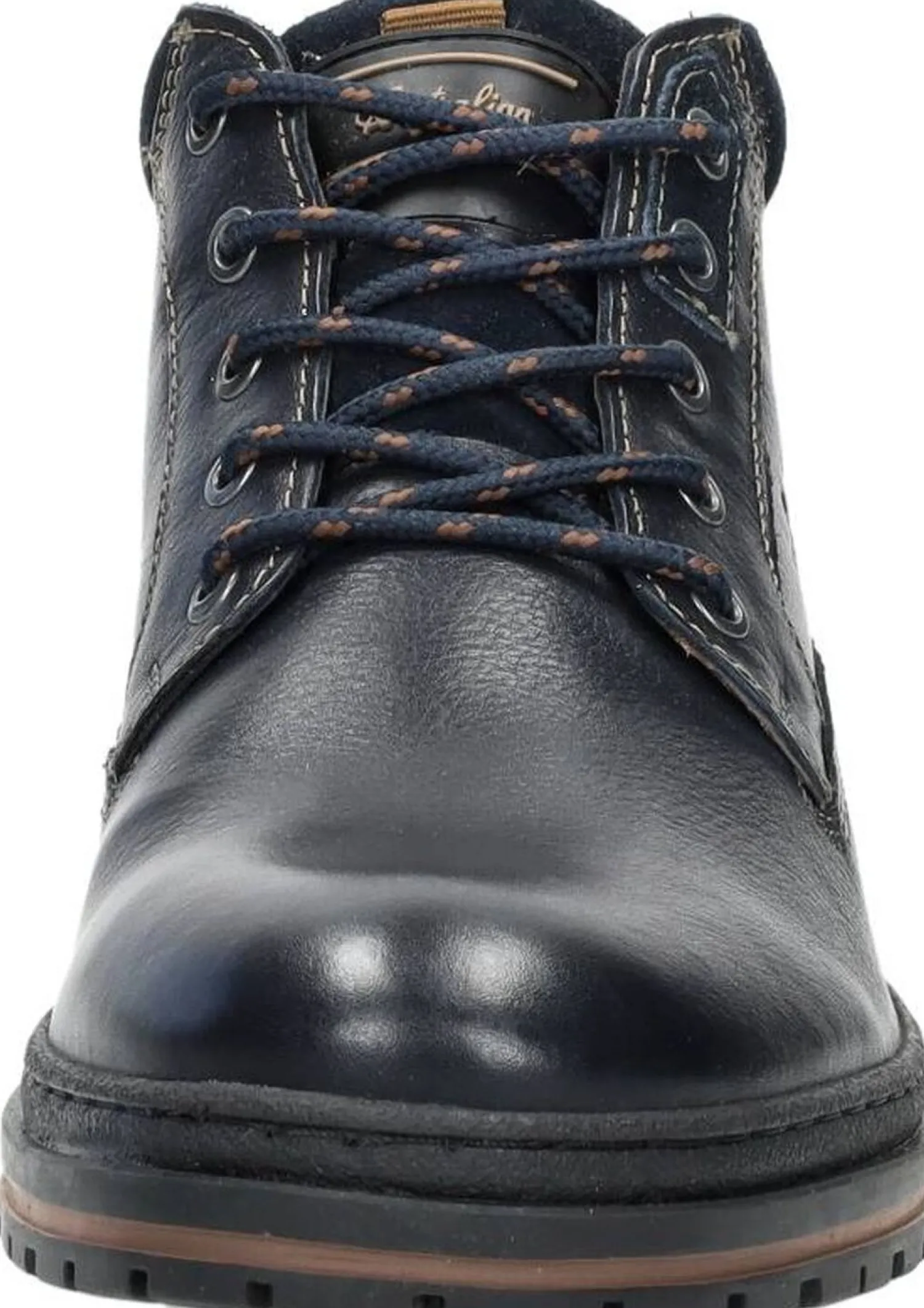 Australian Middelburg Blauw New