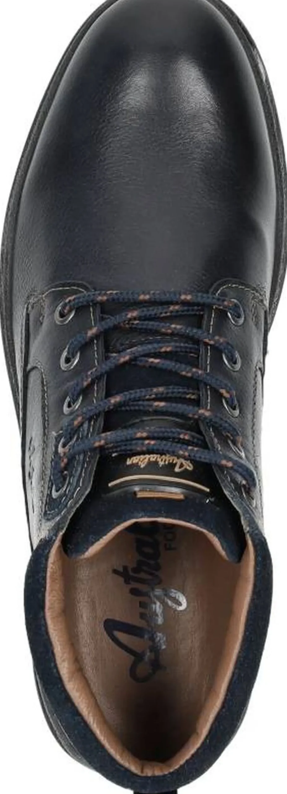 Australian Middelburg Blauw New