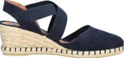 Verbenas Mila Blauw Hot